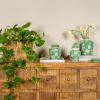 imageCreative CoOp Decorative Ceramic Ginger Jar with Lid for Spaces GreenGreen
