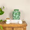 imageCreative CoOp Decorative Ceramic Ginger Jar with Lid for Spaces GreenGreen
