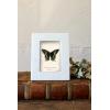 imageCreative CoOp Marble Photo Frame White