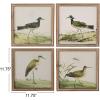 imageCreative CoOp Reclaimed Wood Framed Bird Print Wall Art Multicolor Set of 4