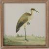 imageCreative CoOp Reclaimed Wood Framed Bird Print Wall Art Multicolor Set of 4