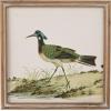 imageCreative CoOp Reclaimed Wood Framed Bird Print Wall Art Multicolor Set of 4