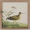 imageCreative CoOp Reclaimed Wood Framed Bird Print Wall Art Multicolor Set of 4