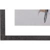 imageCreative CoOp Wood Framed Wall Dcor with Feathers Multicolor Set of 2