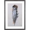 imageCreative CoOp Wood Framed Wall Dcor with Feathers Multicolor Set of 2
