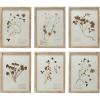 imageCreative CoOp Botanical Wood Framed Wall Decor Multicolor Set of 6