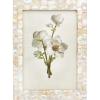 imageCreative CoOp Mother of Pearl Holds 5quot x 7quot Picture Frames and Photo Holders White