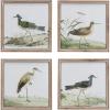 imageCreative CoOp Reclaimed Wood Framed Bird Print Wall Art Multicolor Set of 4