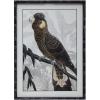 imageCreative CoOp Wood Framed Glass Wall Dcor with Parrot