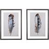 imageCreative CoOp Wood Framed Wall Dcor with Feathers Multicolor Set of 2