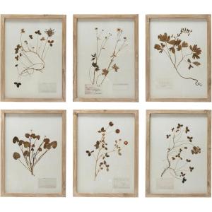 imageCreative CoOp Botanical Wood Framed Wall Decor Multicolor Set of 6