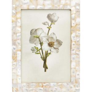 imageCreative CoOp Mother of Pearl Holds 5quot x 7quot Picture Frames and Photo Holders White