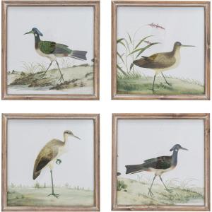 imageCreative CoOp Reclaimed Wood Framed Bird Print Wall Art Multicolor Set of 4