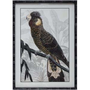 imageCreative CoOp Wood Framed Glass Wall Dcor with Parrot