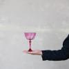 imageCreative CoOp 12 oz Acrylic Stemmed Wine Glass with Design Fuchsia