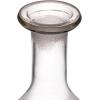 imageCreative CoOp 20Ounce Etched Glass Decanter with Giraffes and Glass Stopper Clear