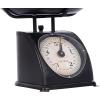imageCreative CoOp Antique Black Metal Scale