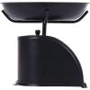 imageCreative CoOp Antique Black Metal Scale