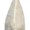 imageCreative CoOp Woven Cotton Jacquard Lumbar Pillow 14quot L x 9quot W x 2quot H Greige