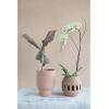 imageCreative CoOp Handmade Terracotta PlanterCandle Holder with CutOuts