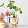 imageCreative CoOp Stoneware Footed Planter with Flower Reactive Glaze White and Mustard