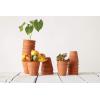 imageCreative CoOp 4quot Round Terracotta Pot3 Inch Round