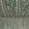 imageCreative CoOp Embossed TerraCotta Footed Vase Planter with Dot Pattern and Crackle Glaze Green