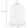 imageCreative CoOp Glass Cloche with Clear Glass Plate