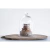 imageCreative CoOp Glass Cloche with Clear Glass Plate