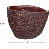 imageCreative CoOp Stoneware Organic Shaped Planter with Raised Dots and Reactive Glaze Brown