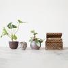imageCreative CoOp Stoneware Organic Shaped Planter with Raised Dots and Reactive Glaze Brown