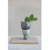 imageDecorative Stoneware Owl Containers