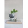 imageDecorative Stoneware Owl Containers