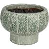 imageCreative CoOp Embossed TerraCotta Footed Vase Planter with Dot Pattern and Crackle Glaze Green