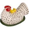 imageCreative CoOp Stoneware Vintage Reproduction Hen Shaped Butter Dish Multicolor