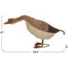 imageCreative CoOp Long Dried Grass and Foam Goose Multicolor