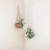 imageCreative CoOp Cotton Macrame Plant Hanger Natural