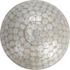 imageCreative CoOp Round Decorative Resin and Capiz Bowl White and Natural