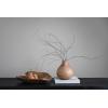 imageCreative CoOp Wood Bowl