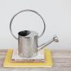 imageCreative CoOp 1 Gallon Stainless Steel Watering Can Nickel Finish