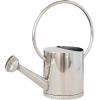 imageCreative CoOp 1 Gallon Stainless Steel Watering Can Nickel Finish