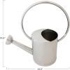 imageCreative CoOp 1 Gallon Stainless Steel Watering Can Nickel Finish