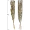imageCreative CoOp 38quotH Dried Natural Canary Grass ampamp Date Palm Bunch