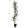 imageCreative CoOp Faux Yucca Tree in Plastic Pot Green