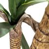 imageCreative CoOp Faux Yucca Tree in Plastic Pot Green