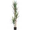 imageCreative CoOp Faux Yucca Tree in Plastic Pot Green