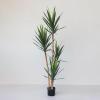 imageCreative CoOp Faux Yucca Tree in Plastic Pot Green
