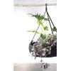 imageCreative CoOp HandWoven Rattan Jute Rope Hanger Hanging Basket 24quot L x 24quot W x 7quot H Black