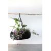 imageCreative CoOp HandWoven Rattan Jute Rope Hanger Hanging Basket 24quot L x 24quot W x 7quot H Black