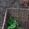 imageCreative CoOp Handwoven Vine and Wire 2Piece Folding Garden Fence Natural Cloches 28quot L x 28quot W x 23quot H